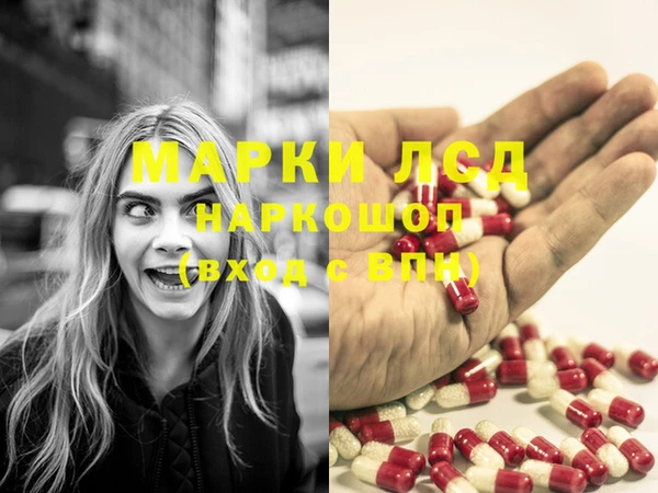 PSILOCYBIN Мегион