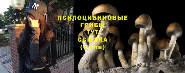 PSILOCYBIN Мегион