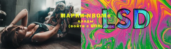 PSILOCYBIN Мегион
