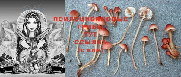 трава Медногорск